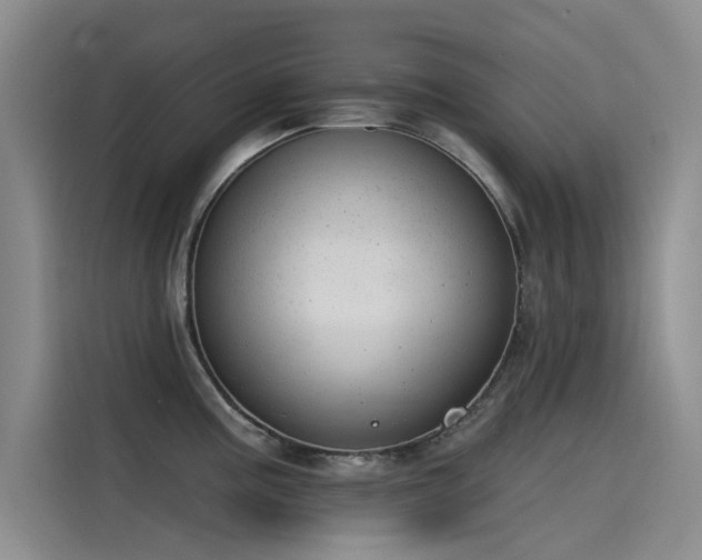 X0000115231195200911061121