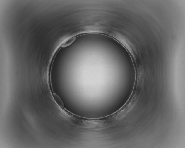 X0000115231197200911061121