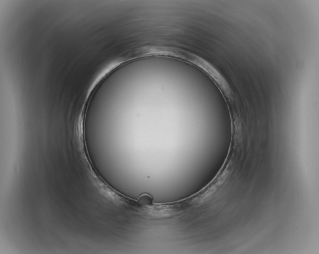 X0000115231198200911061121
