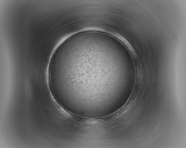X0000115231199200911061121