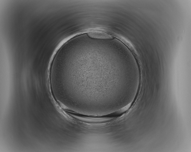 X0000115231200200911061121
