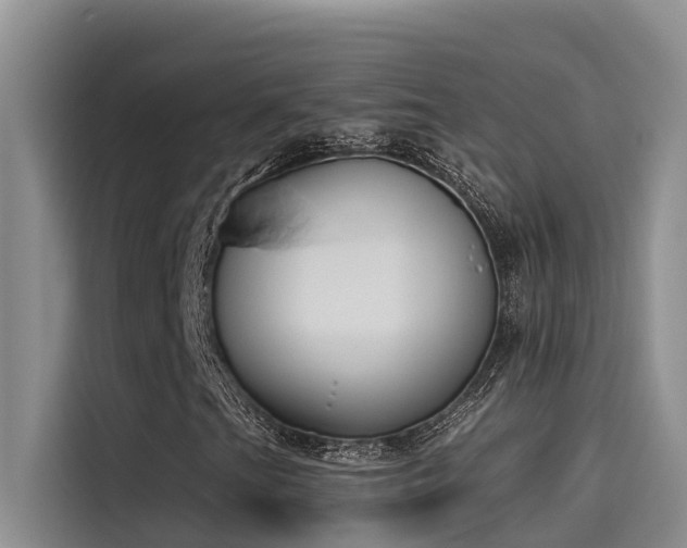 X0000115231201200911061120
