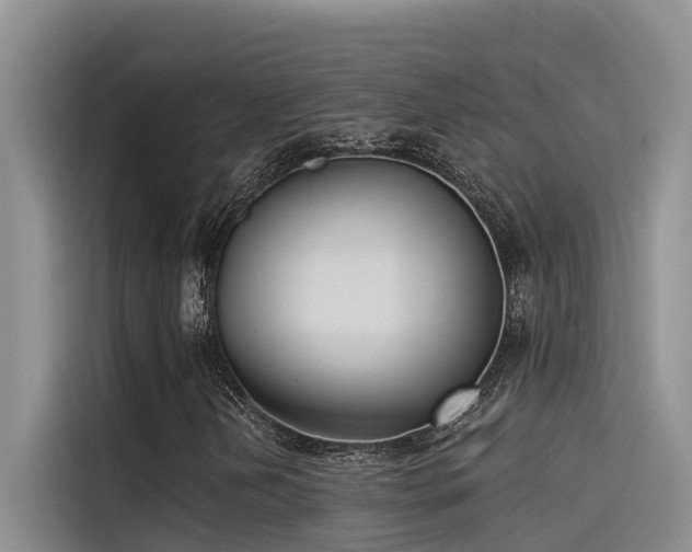 X0000115231202200911061120