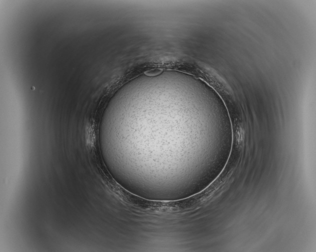 X0000115231204200911061120