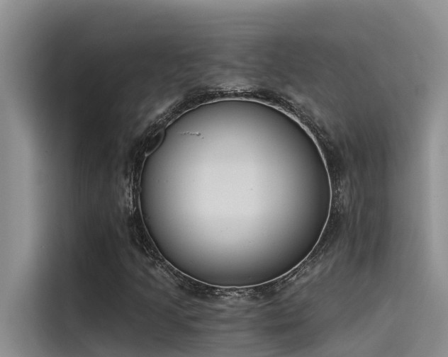 X0000115231205200911061120