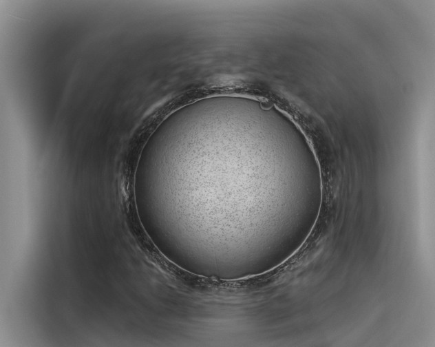X0000115231206200911061120