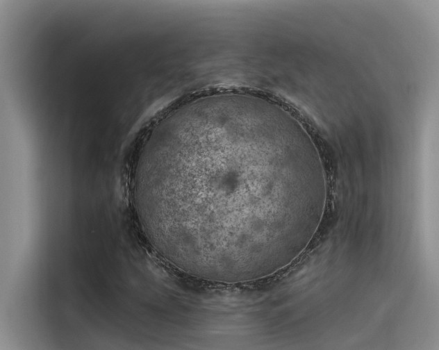 X0000115231207200911061120