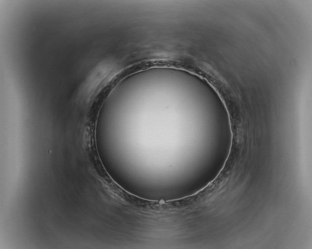 X0000115231208200911061120