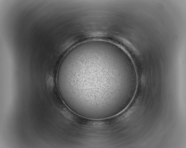 X0000115231209200911061120