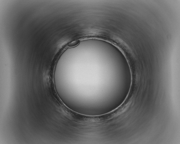 X0000115231210200911061120