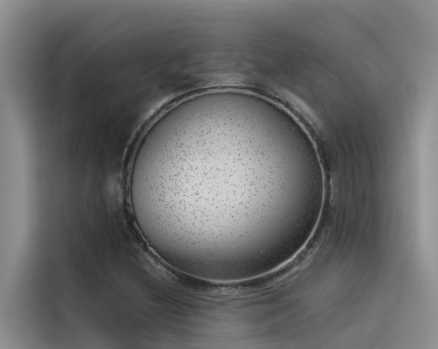 X0000115231212200911061120