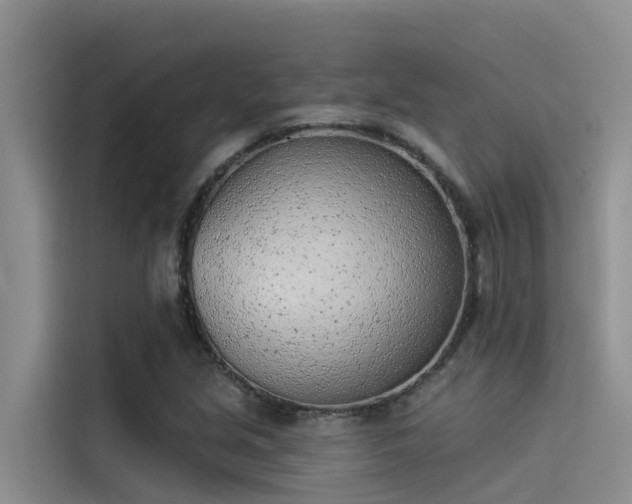 X0000115231213200911061120