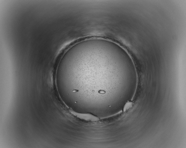 X0000115231214200911061120