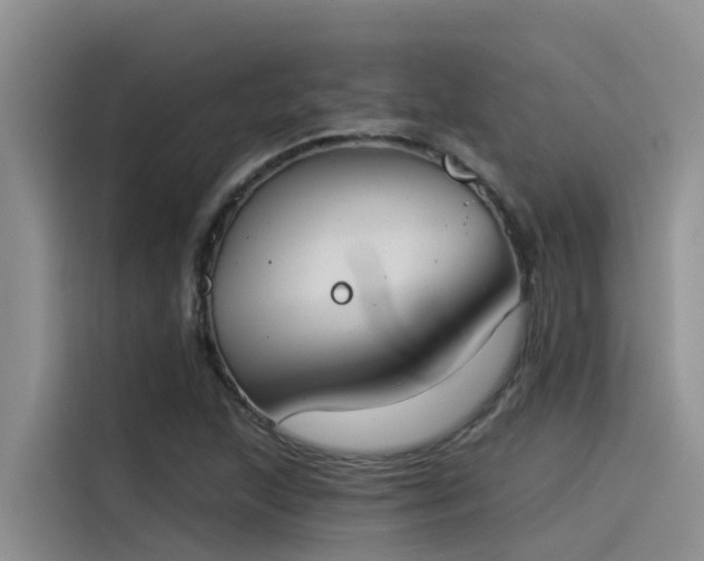 X0000115231215200911061120