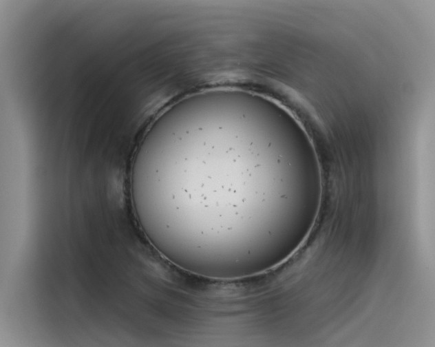 X0000115231217200911061120
