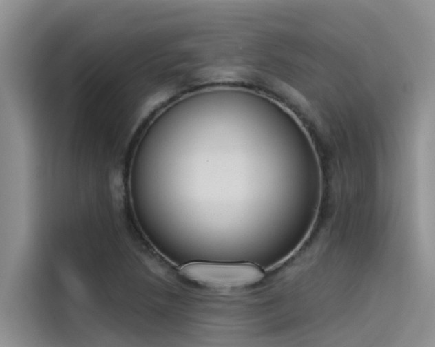 X0000115231218200911061120