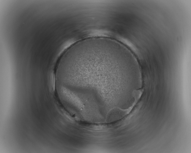 X0000115231219200911061121