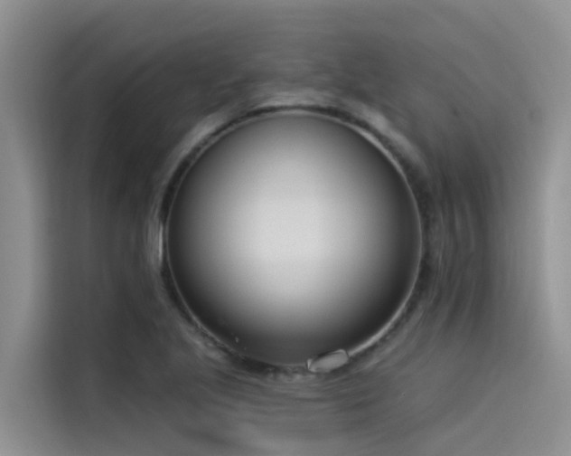 X0000115231221200911061121