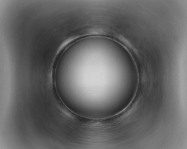X0000115231222200911061121