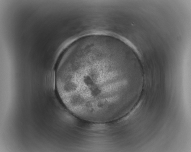 X0000115231223200911061121