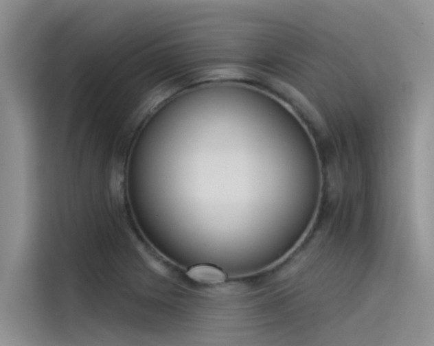 X0000115231225200911061121