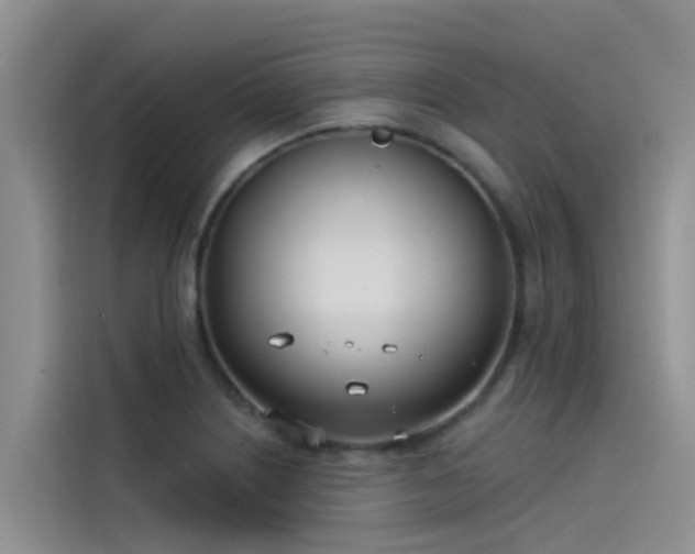 X0000115231226200911061121