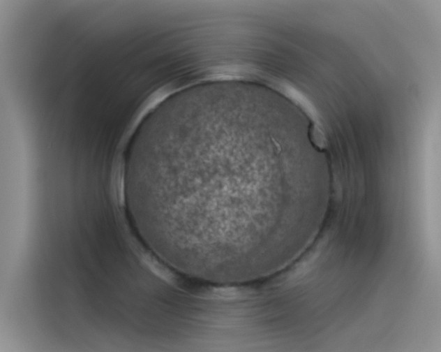 X0000115231227200911061121