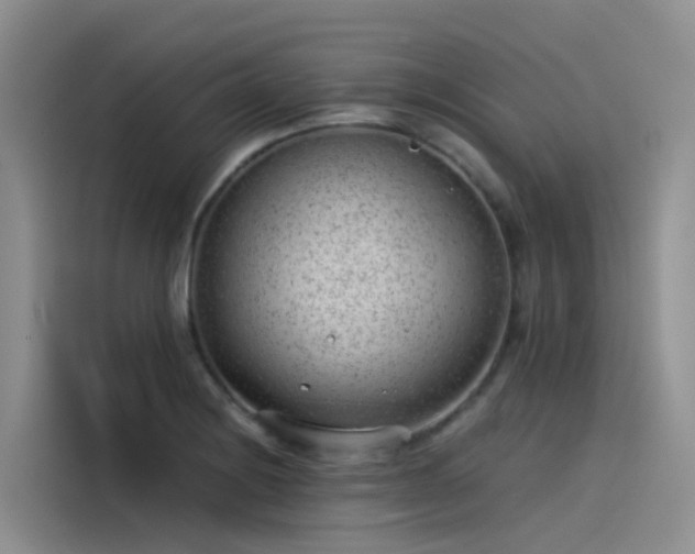 X0000115231228200911061121