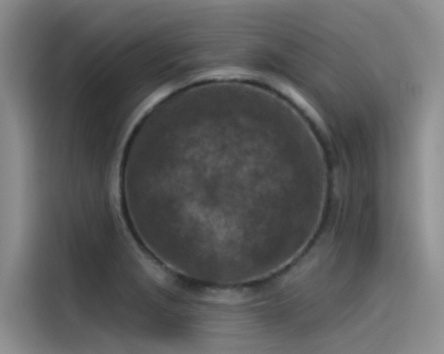 X0000115231229200911061121