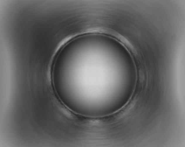 X0000115231230200911061121