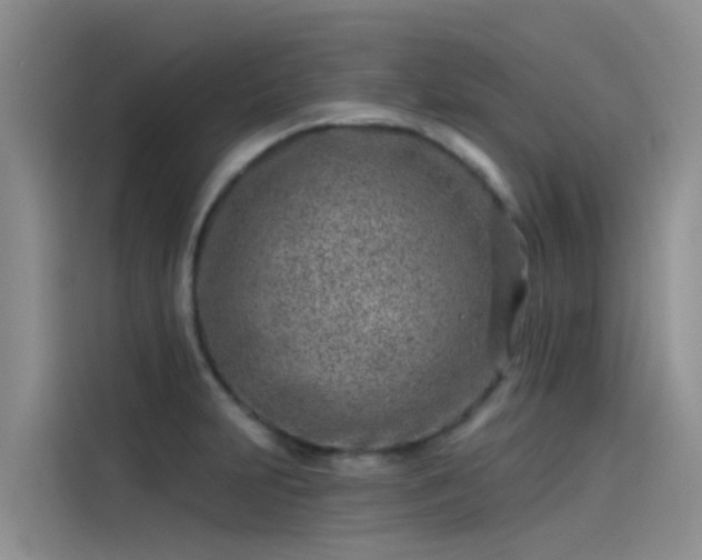 X0000115231231200911061121