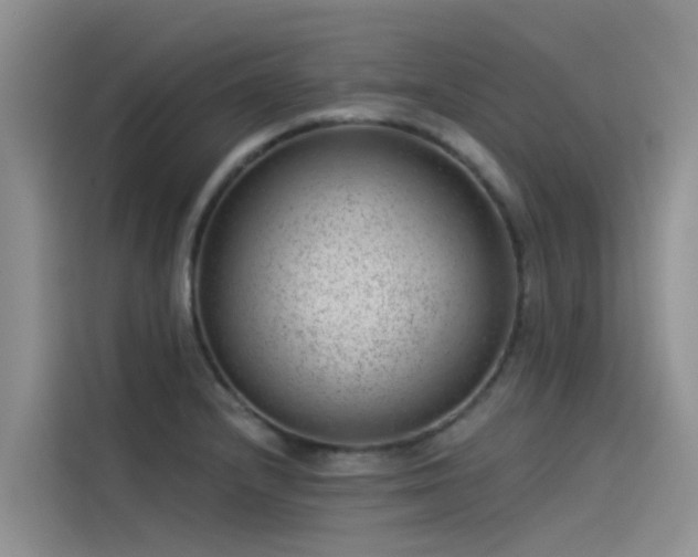 X0000115231232200911061121