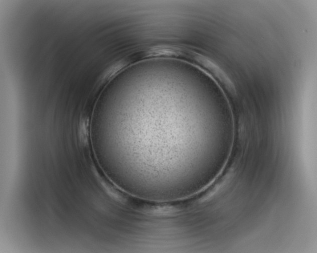 X0000115231233200911061121