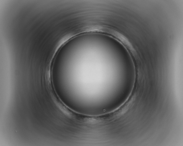 X0000115231234200911061121