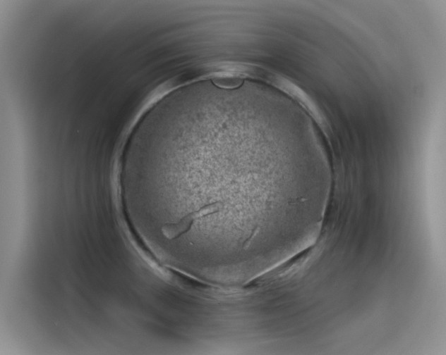 X0000115231235200911061121