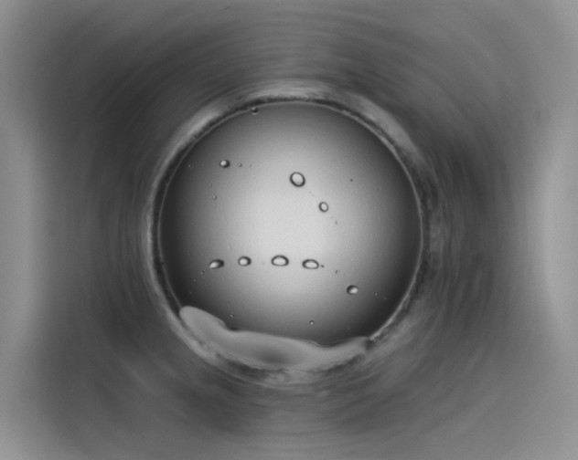 X0000115231237200911061121