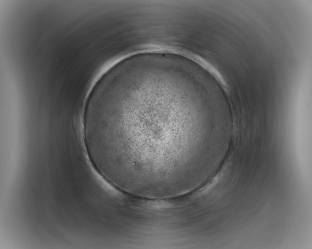 X0000115231239200911061121