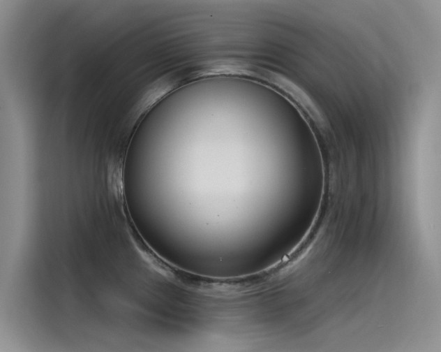X0000115231241200911061121