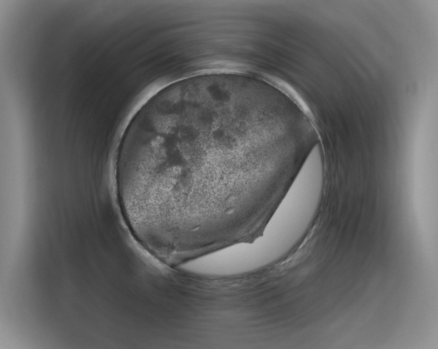 X0000115231243200911061121
