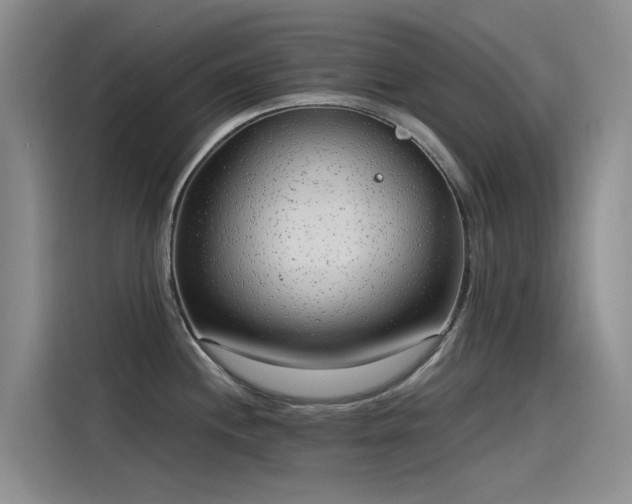 X0000115231244200911061121