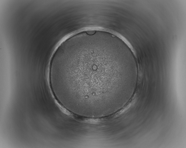 X0000115231245200911061121