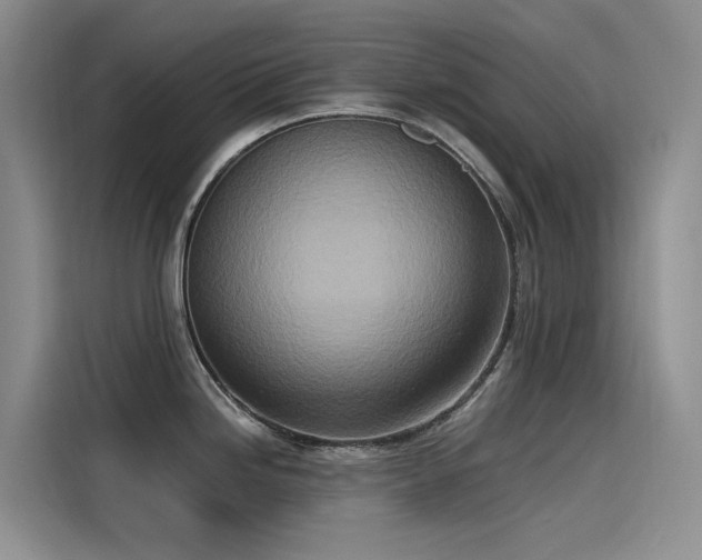 X0000115231246200911061121