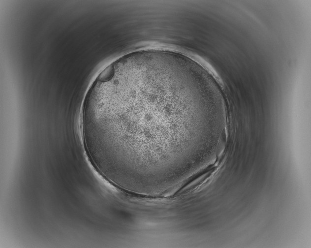 X0000115231247200911061121