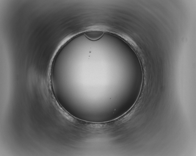 X0000115231248200911061121