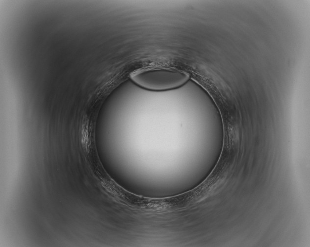 X0000115231250200911061120