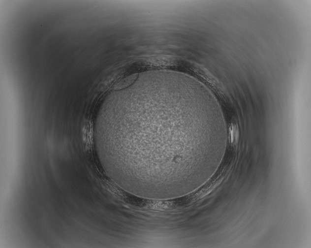 X0000115231251200911061120