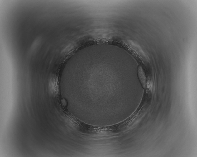 X0000115231252200911061120