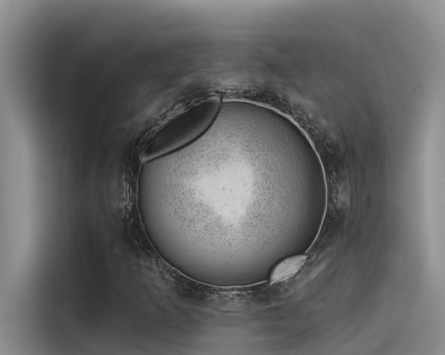 X0000115231253200911061120
