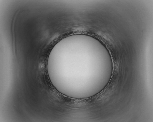 X0000115231254200911061120