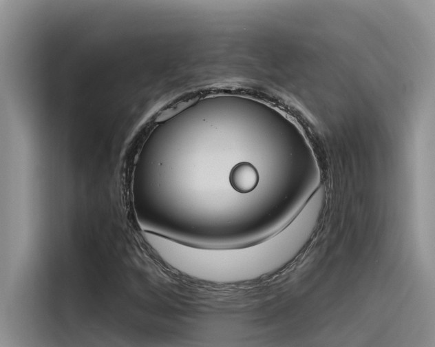 X0000115231256200911061120